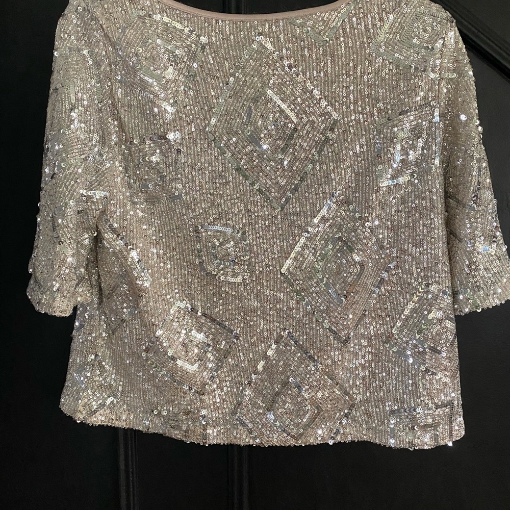 Skies Are Blue Silver Sequin Blouse - Picture 2 of 4